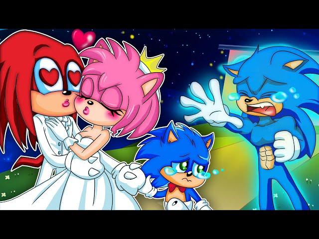Amy, Baby!! Don't Leave Me Alone - Sonic's Sad Love - Sonic the Hedgehog 2 Animation | Fury Channel