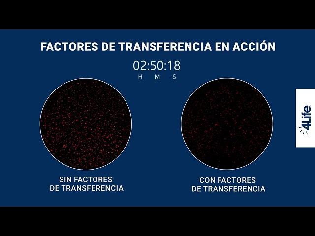 Los Factores de Transferencia en accíon