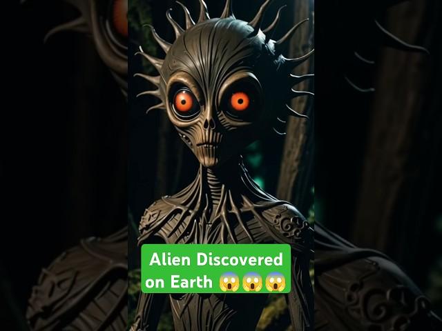 Alien Encounters: Real Stories from Around the World