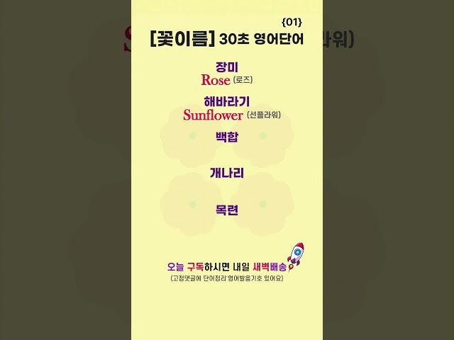 꽃이름 01 | 30초 영어단어⏰ | 듣고 따라해보세요 #영어로켓배송 #로켓배송 #영어단어 #영어회화 #필수영어단어 #기초영어 #영어공부 #learnkorean #꽃이름