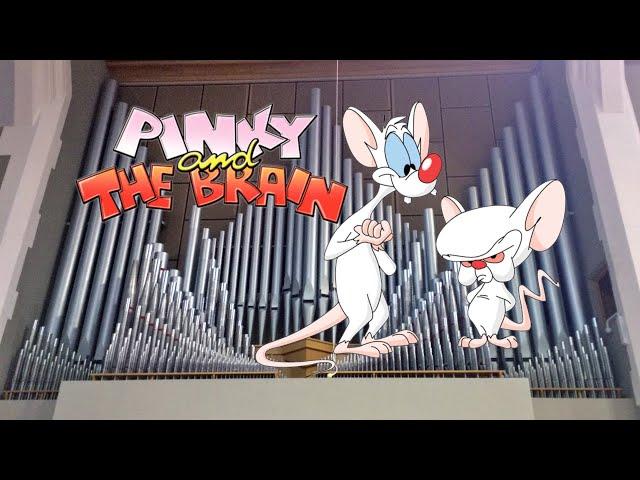 Pinky and the Brain (Organ Cover)