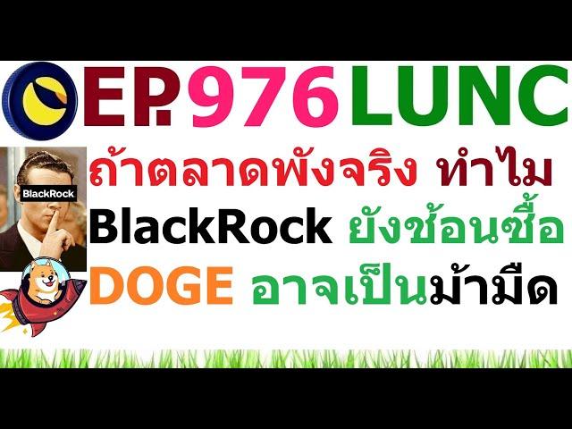 [Ep.976] ถ้าตลาดไม่มีความหวัง ใย BlackRock จึงยังช้อนซื้ออย่างบ้าคลั่ง DOGE จะม้ามืดหรือไม่ ?
