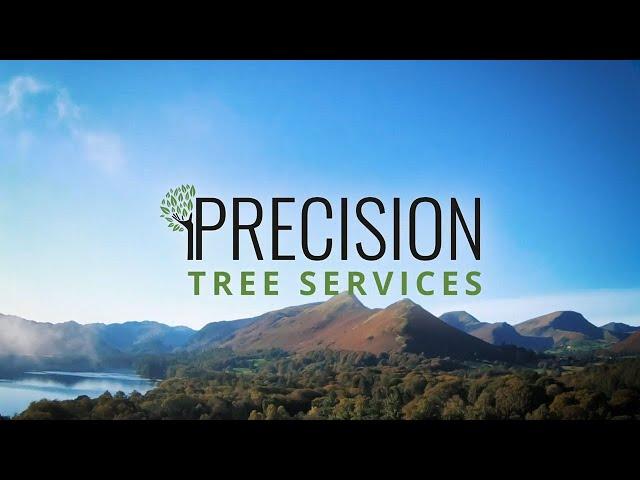 A Day With Precision Tree Services