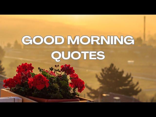 GOOD MORNING QUOTES