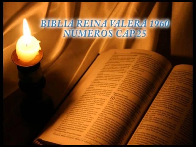 Biblia Hablada-BIBLIA REINA VALERA 1960-NUMEROS CAP.25