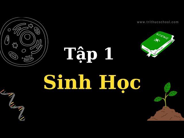 Carbon - Sinh Học - tập 1| Tri thức nhân loại