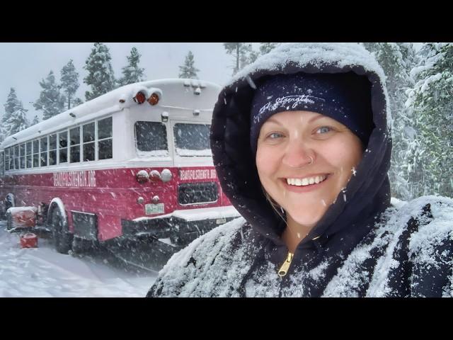 Turning a Simple School Bus into Her Life's Dream | Solo Van Life Inspiration