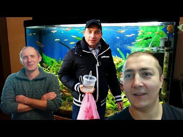 HOME AQUARIUMS OF OLEG! Catch fish for yurts!