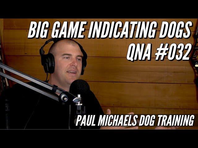 Dealing With Difficult Dogs - Big Game Indicating Dogs QnA #32