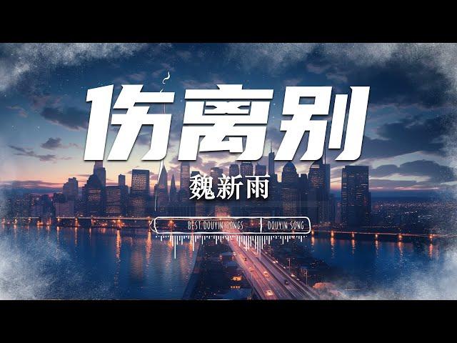 伤离别 - 魏新雨『今夜的天空升起一轮明月/岸上红烛照亮孤单 随风摇曳』【 Lyrics Video 】