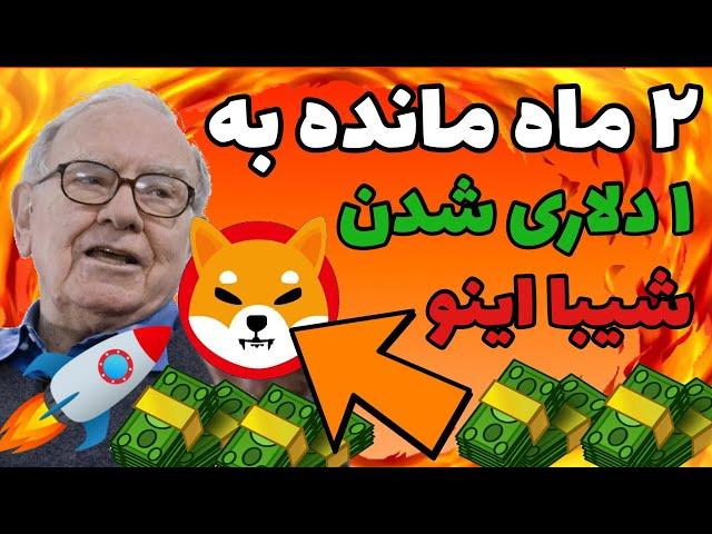 آخرین هشدار وارن بافت برای شیبا اینو