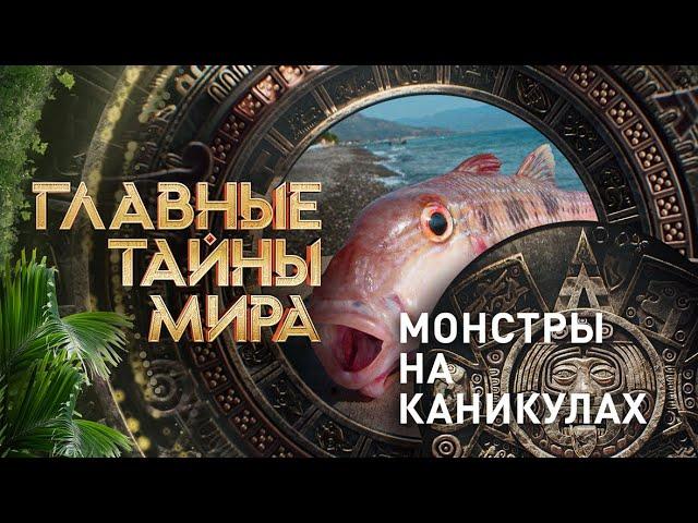 Монстры на каникулах | Главные Тайны Мира