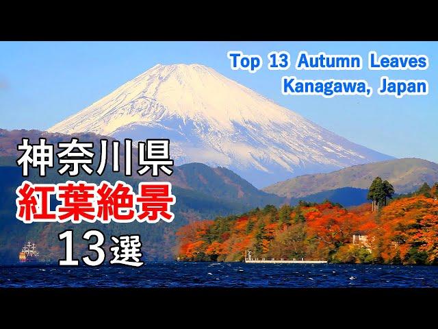 Top 13 best autumn leaves in Kanagawa, Japan / Hakone, Mt. Fuji, Lake Tanzawa, Lake Sagami, etc.