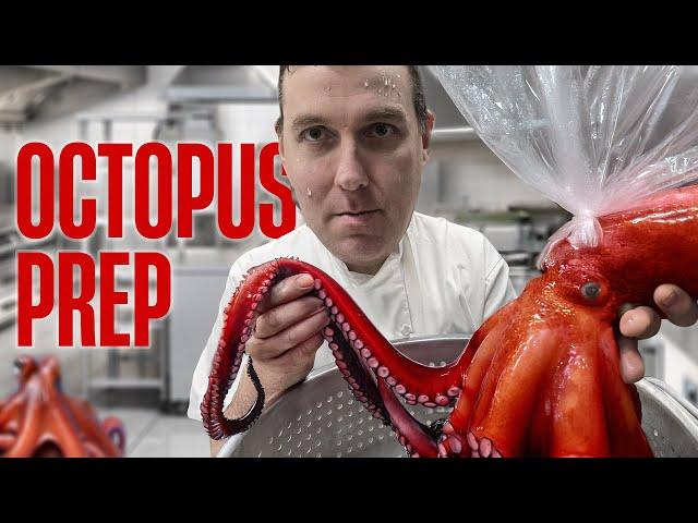 How to prepare an Octopus  The Vivaldi Way!