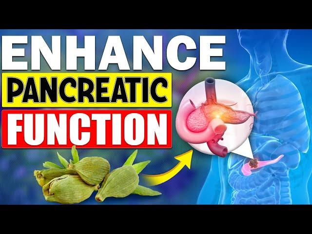 12 Spices That Enhance PANCREATIC FUNCTION without Side Effects