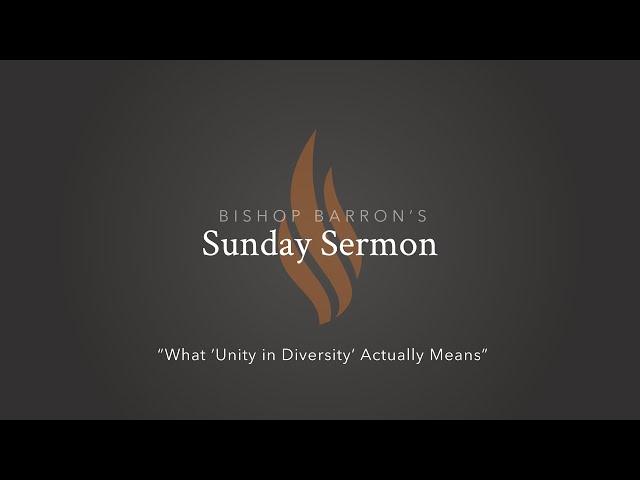 What “Unity in Diversity” Actually Means — Bishop Barron’s Sunday Sermon