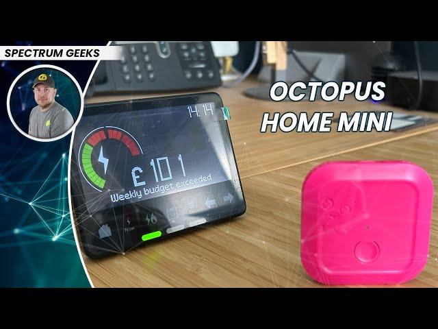 Octopus Home Mini Setup and Benefits