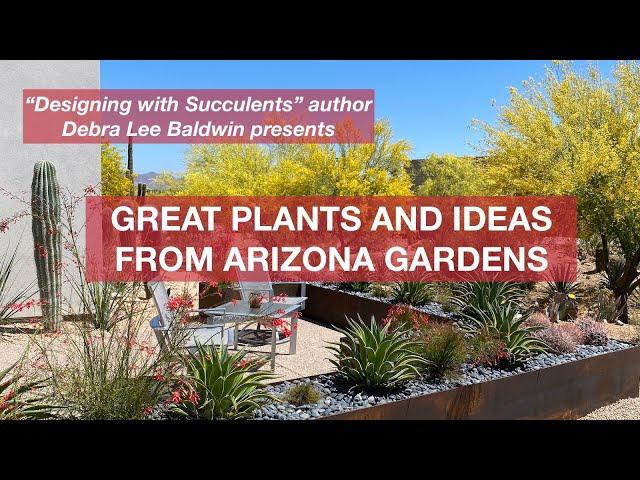 Great Plants and Ideas from Arizona Gardens