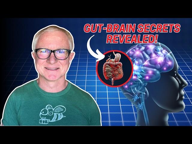 Happy Gut, Happy Mind: Understanding the Gut-Brain Connection