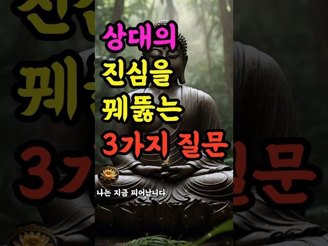"상대의 진심을 꿰뚫는 3가지 질문" #부처님말씀 #불교명언 #삶의지혜 #인생조언 #처세술 #감정정화 #불교지혜 #마음공부 #인간관계 #오디오북