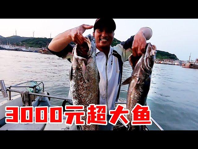 Ajie's got a lot of luck today! One thousand yuan of fish fishing is two  the pull is so great that