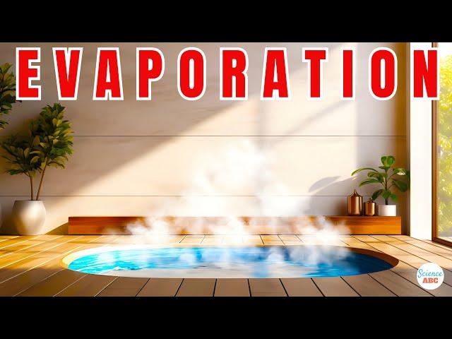 Why Does Water Evaporate at Room Temperature?