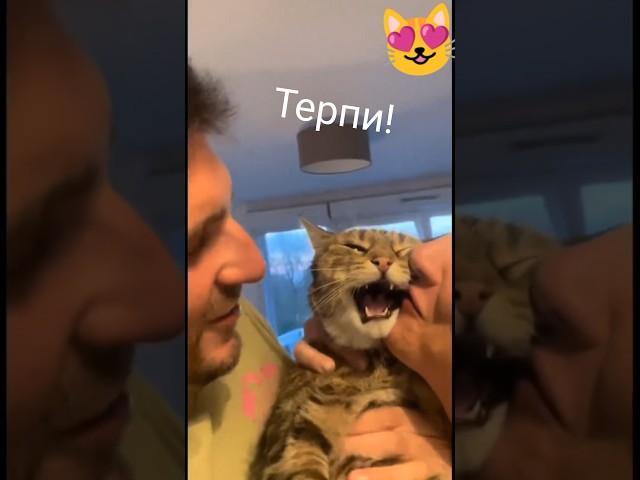 #animals #смех #funnymemes #зсу #гумор #прикол #приколи #comedyfilms #меми #tiger #животные