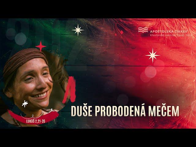 Duše probodená mečem - Jindřich Novák (29.12.2024)