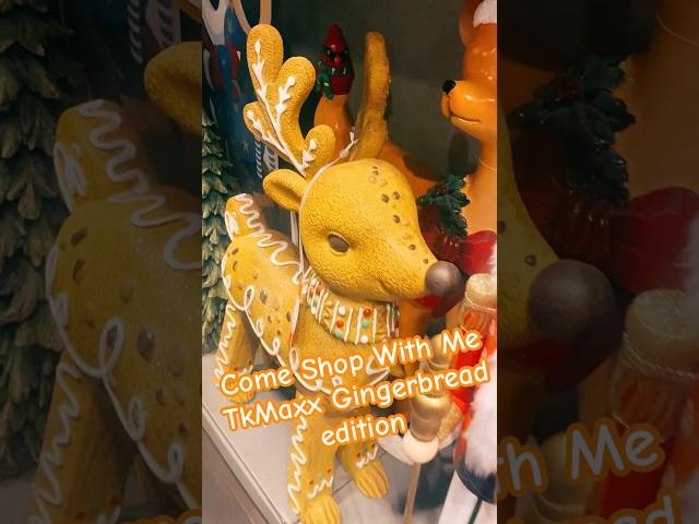 Come Shop With Me TkMaxx Christmas Holiday Gingerbread Edition Reindeer