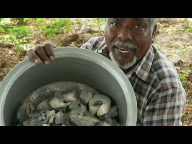 FISH BIRYANI RECIPE !!