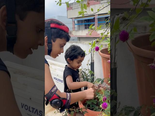 Bro&sis playing with touch me not plant #nature  #naturebeauty #plants #funtime #shorts #ytshorts