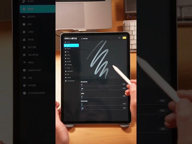 그림초보 떨리는 선?  손? 다 잡아드림, 아이패드 브러시 설정법