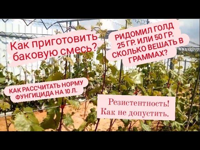  Как рассчитать норму фунгицида? Баковая смесь. Как правильно приготовить?  Виноградник в Беларуси.