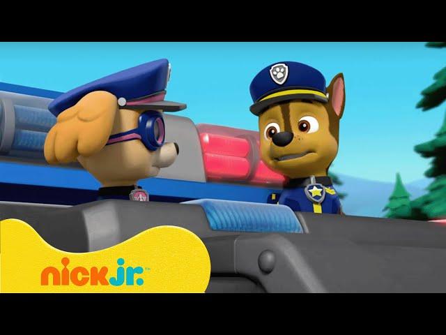 Щенячий патруль | Щенячий патруль спасает Королевских котят! | Nick Jr. Cyrillic