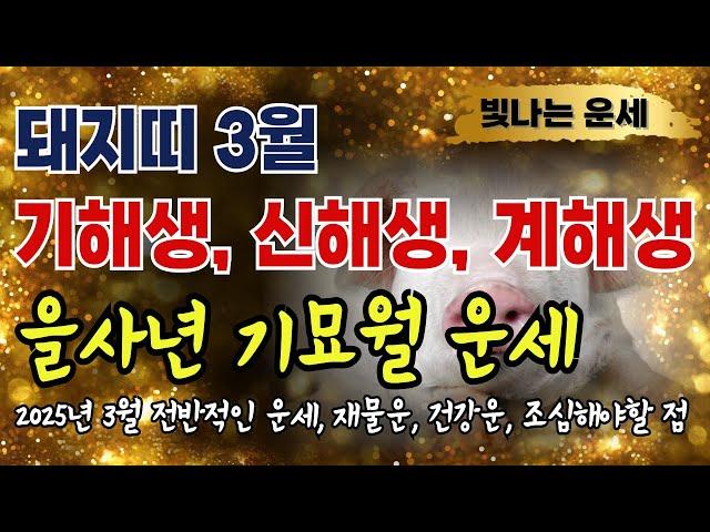 돼지띠 3월운세1959년생 1971년생 1983년생 돼지띠 3월 운세 돼지띠 운세 기해생 신해생 계해생⭐대박돼지띠운세 을사년 기묘월 운세 말년운 귀인운 재물운