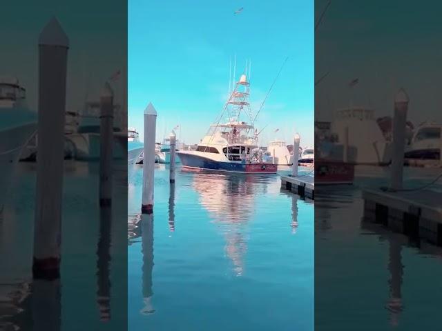 Rate these docking skills! Boat is a 64 foot Weaver sportfish @reelin_feelin_sportfishing