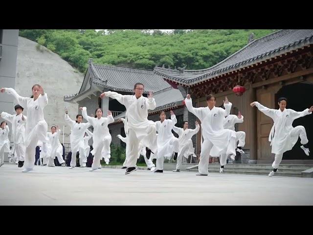 Wushu performance by student