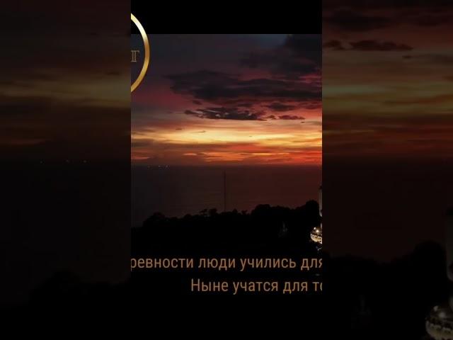 Сокровища мировой мудрости полное видео по ссылке https://youtu.be/x1c43P9x9eg