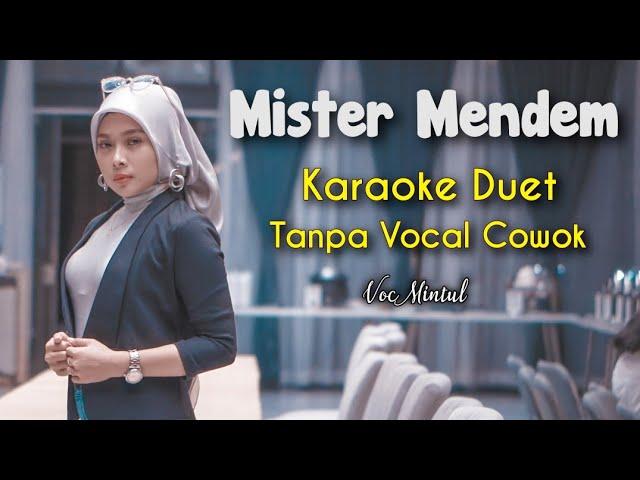 Mister Mendem Karaoke Tanpa Vocal Cowok || Voc Mintul #DuetinAja