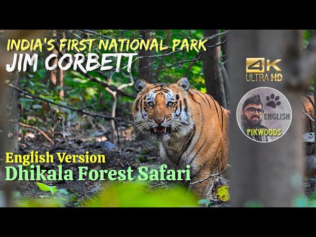 Jim Corbett Tiger Reserve | English version of Dhikala zone safari | India's first National Park