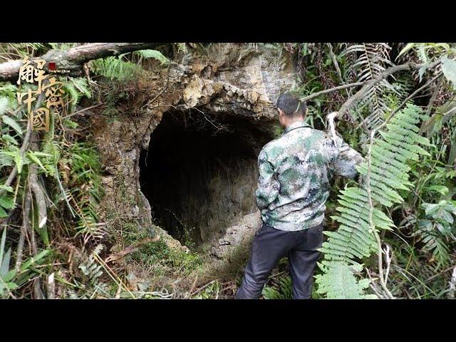 Wow! The villagers found mysterious stone caves, and there were 36 stone house underground