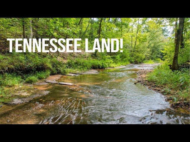 Tennessee Land for Sale | 5+ Acres - No Bank!