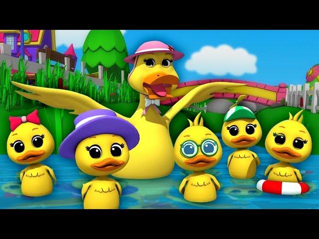 Lima bebek kecil | sajak anak-anak | Nursery Songs | Five Little Ducks