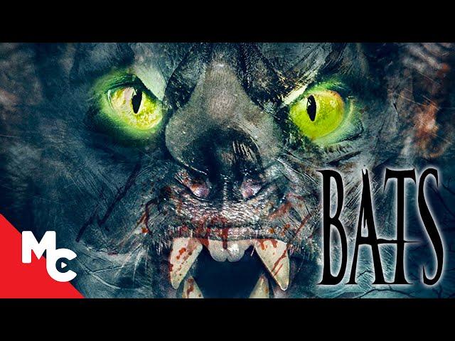 Bats (The Awakening) | Latest Full Horror Movie | 2021