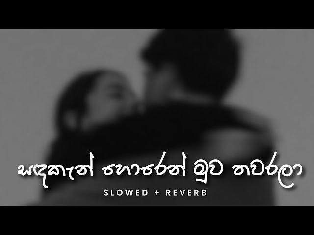 ආලවන්ත නෙත් විදා Aalawantha neth vida - (Slowed + Reverb)