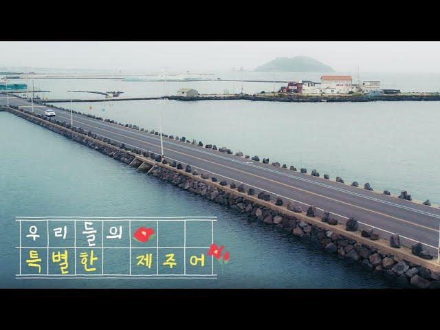 [제주관광협회] 우리들의 제주어 (viral)