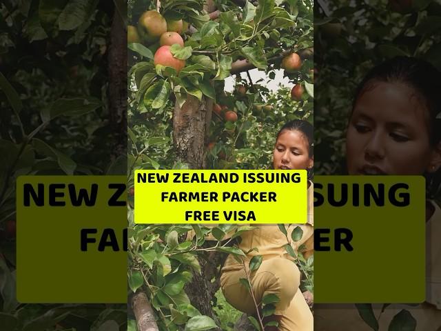 New Zealand Seasonal Work Visa 2025 | NEW ZEALAND  FREE SEASONAL VISA 2025