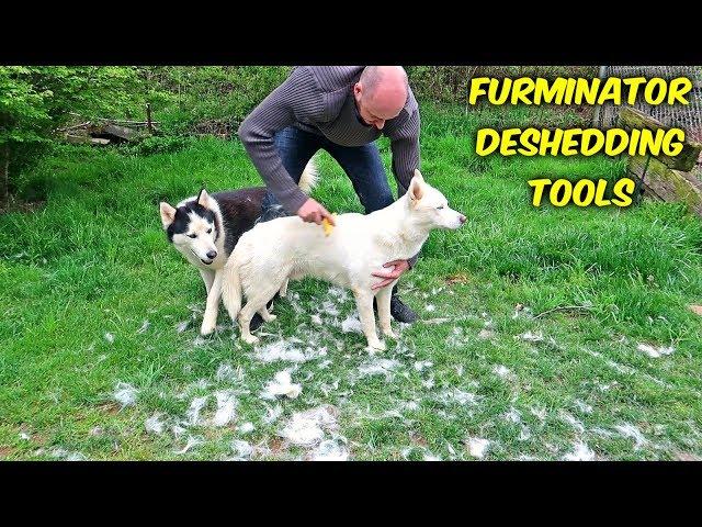 FURminator DeShedding Tools for Dogs