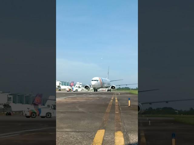 My indo airlines pushback
