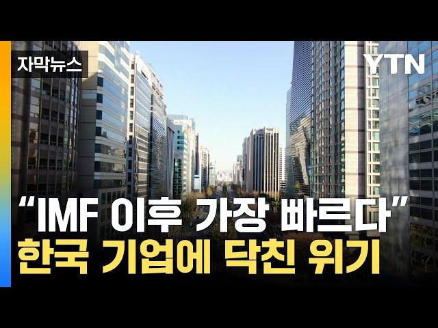 [자막뉴스] 줄줄이 '흑자 도산' 할까...직격탄 맞은 한국 기업 / YTN